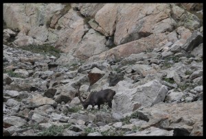 IMG_1494